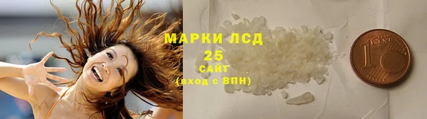 стаф Арсеньев