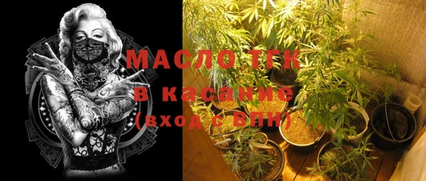 мяу мяу мука Аркадак
