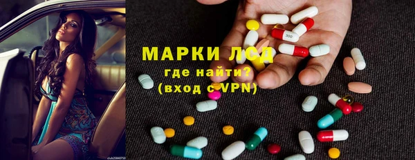стаф Арсеньев