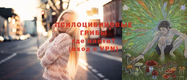 мяу мяу мука Аркадак
